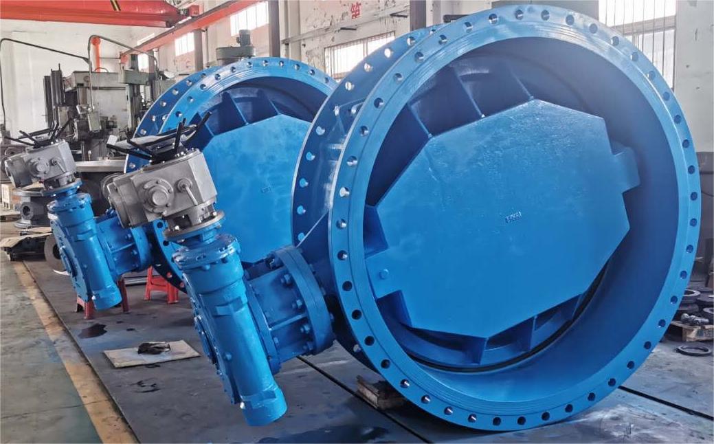 Double Eccentric Butterfly Valve