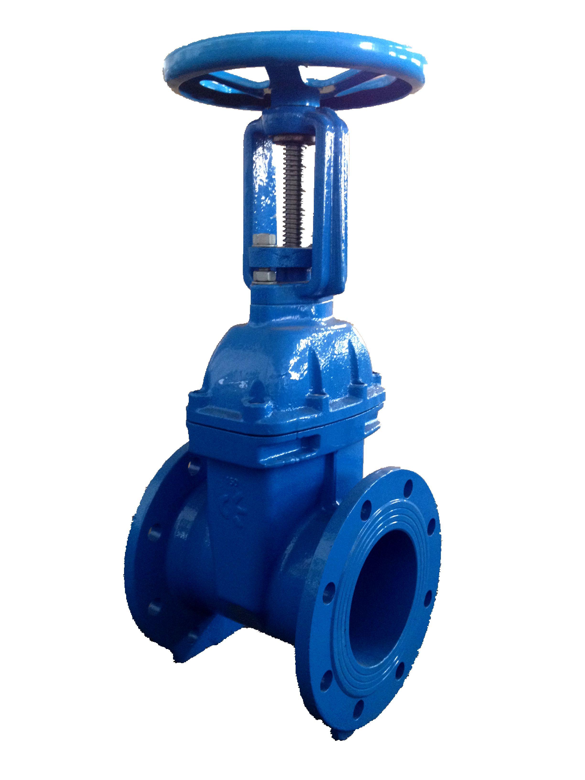 Rising Stem Gate Valve