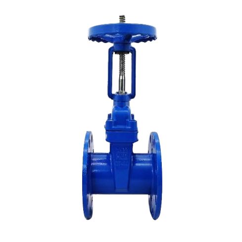 Rising Stem Resilient Seat Gate Valve