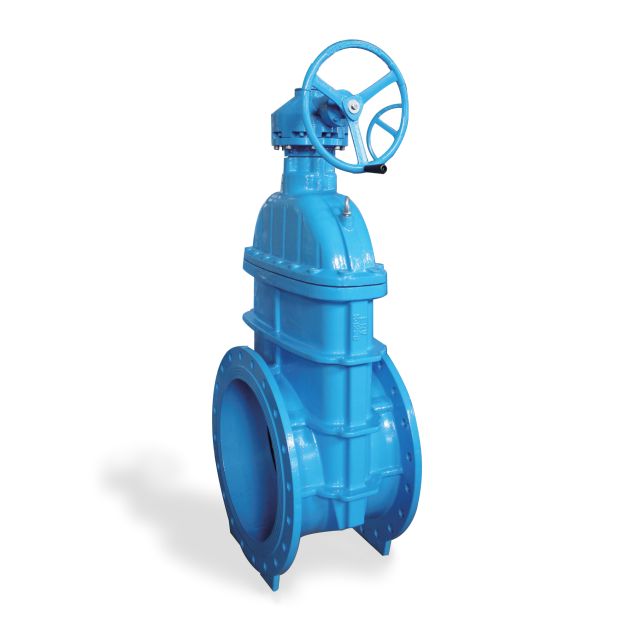 Large Size Resilient Seat Gate Valve