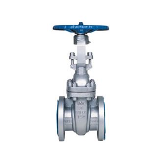 ANSI Gate Valve